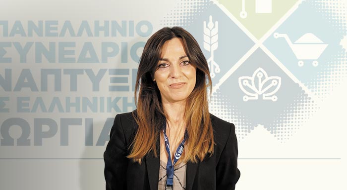 e-tsiforou-gaia-epicheirein-ta-prota-vimata-gia-ton-psifiako-metaschimatismo-tis-ellinikis-georgias-pernoun-mesa-apo-to-osde-302063