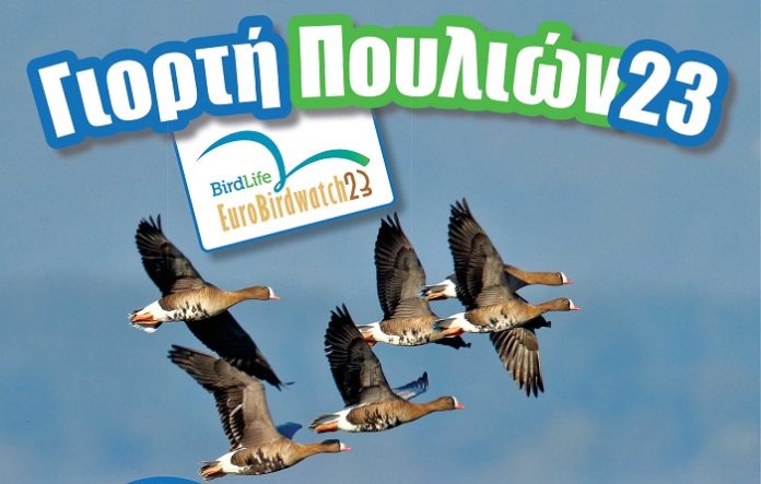 PRINT_AXIOS_EuroBirdWatch 2023 poster A4 - no date