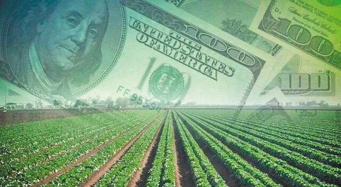ipa-ptotiki-poreia-diagrafei-to-agrotiko-eisodima-gia-to-2023-meta-to-persino-rekor-300701