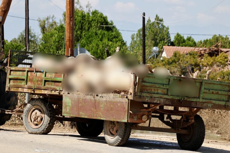 enimerosi-ton-ktinotrofon-tou-kilkis-gia-ti-diacheirisi-ton-nekron-tous-zoon-301004