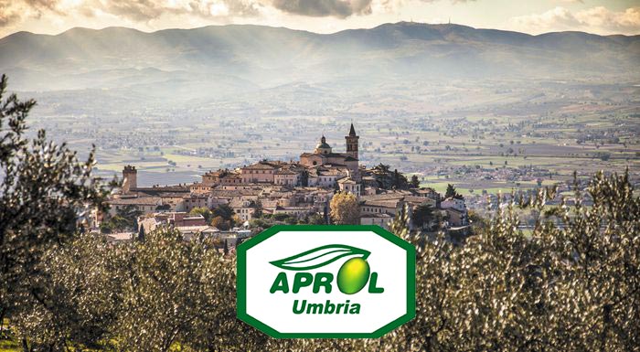 Stime di Aprol Umbria in “YX” per la produzione italiana di olio d’oliva