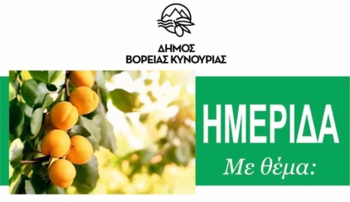 verikoka