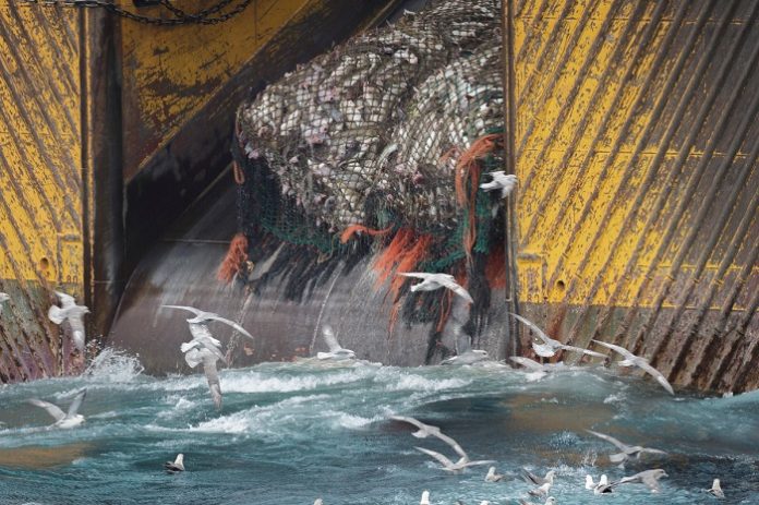 Bottom Trawler in the Barents Sea