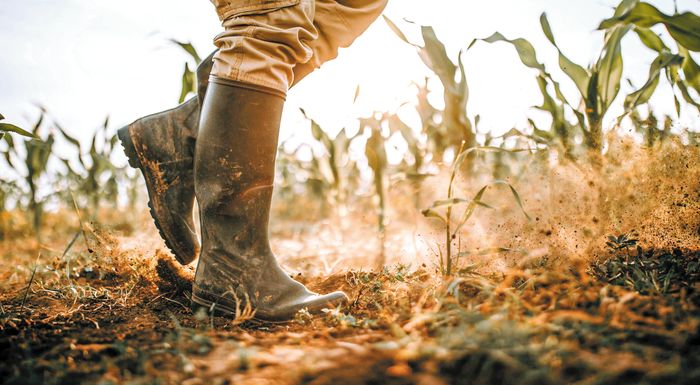 eurostat-i-afxisi-ton-timon-anevase-se-nea-ypsi-tin-axia-tis-agrotikis-paragogis-stin-ee-to-2022-303192