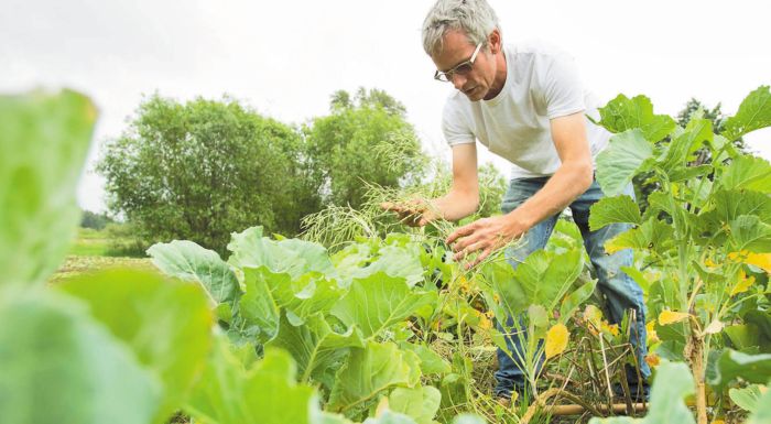 erevna-oi-evropaioi-agrotes-stis-protes-theseis-yiothetisis-tis-agrotikis-technologias-303436