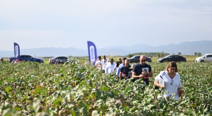 -dsc_1028_700x385