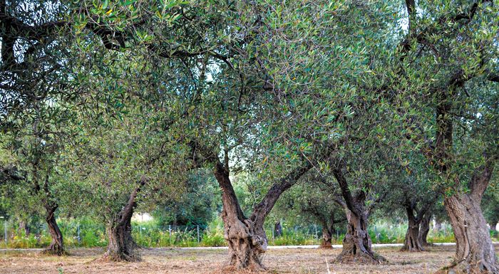 telos-oktovri-mazevoun-elies-ston-evro-304503