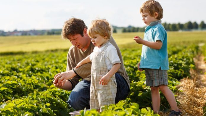 family-farmers