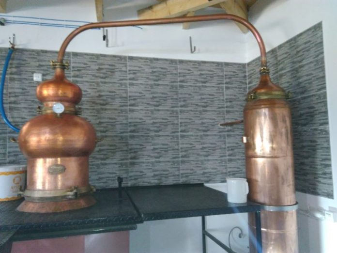 tsipouro