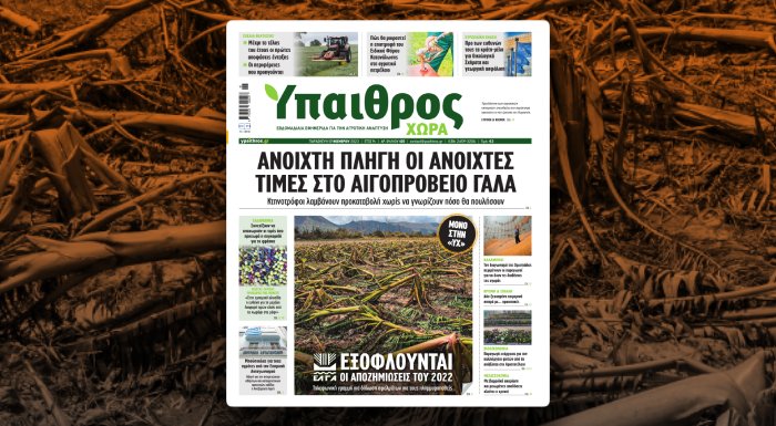 diavaste-stin-ych-anoichti-pligi-oi-anoichtes-times-sto-aigoproveio-gala-306825