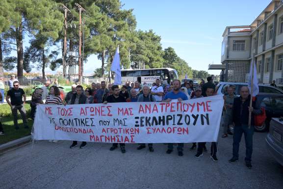 parastasi-diamartyrias-se-elga-kai-opekepe-larisas-305856