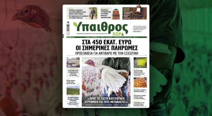 diavaste-stin-ych-sta-450-ekat-evro-oi-simerines-pliromes-309931