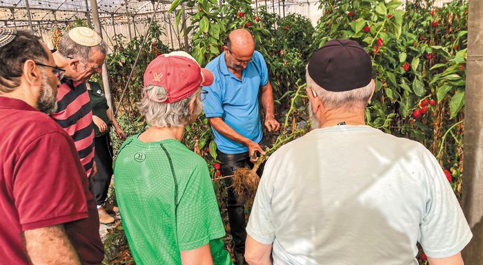 xemenei-apo-ergatika-cheria-o-agrotikos-tomeas-tou-israil-308589