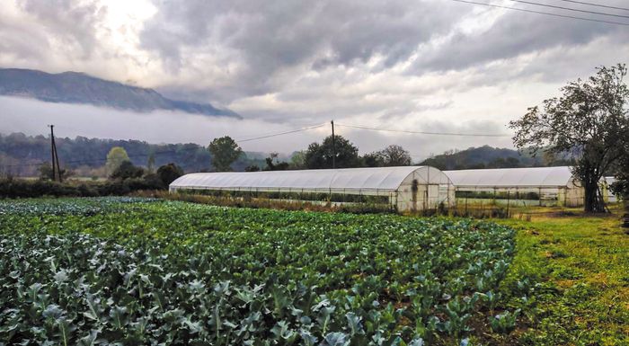 tachyrrythmo-seminario-gia-technikous-thermokipion-apo-ton-elgo-dimitra-309241