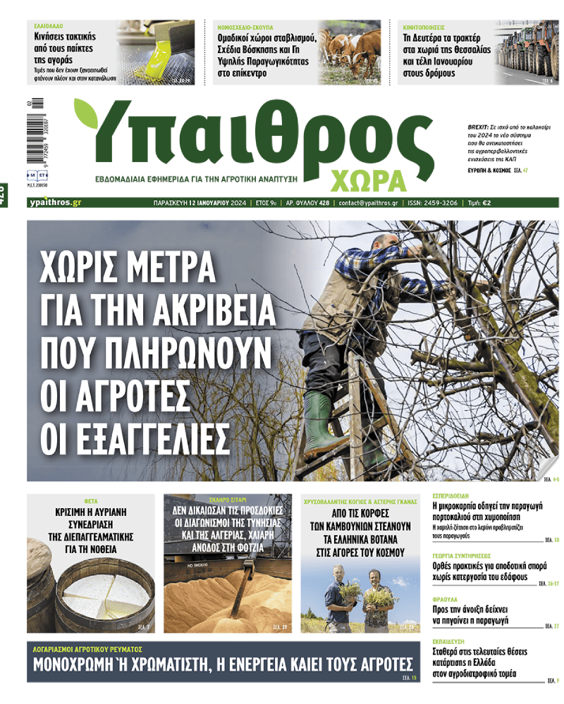 fyllo-428-paraskevi-12-ianouariou-2024-311254