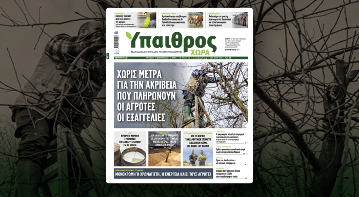 diavaste-stin-ych-choris-metra-gia-tin-akriveia-pou-plironoun-oi-agrotes-oi-exangelies-311255