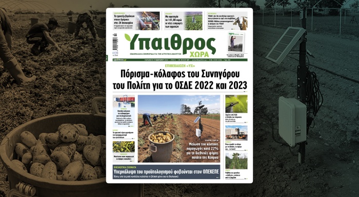 diavaste-stin-ych-porisma-kolafos-tou-synigorou-tou-politi-gia-to-osde-2022-kai-2023-epivevaiosi-ych-311809