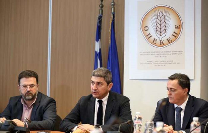 episkepsi-l-avgenaki-ston-opekepe-311133
