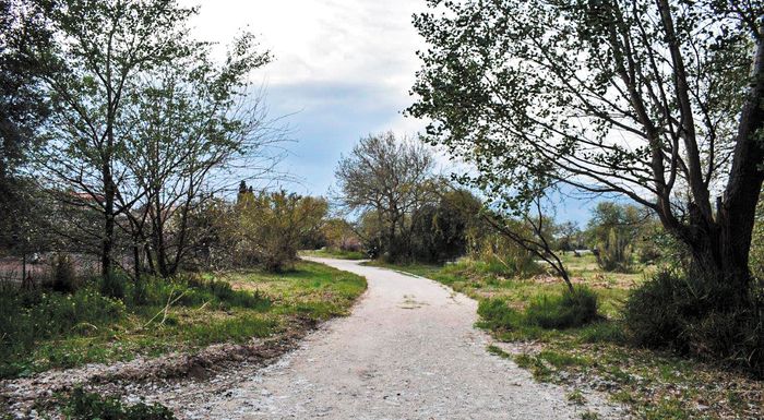 erga-anaplasis-sto-platanodasos-tis-patras-312506