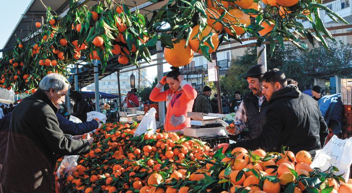 an-makedonia-thraki-provlimatismos-paragogon-gia-to-pos-tha-leitourgisoun-ta-pos-stis-laikes-312681