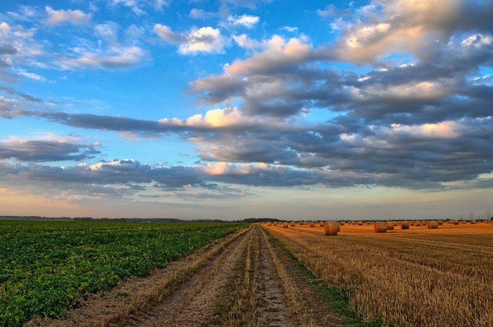cosmocert-foodchain-id-h-proti-pistopoiisi-gia-tin-anagennitiki-georgia-symfona-me-to-protypo-regenerative-agriculture-einai-gegonos-312872