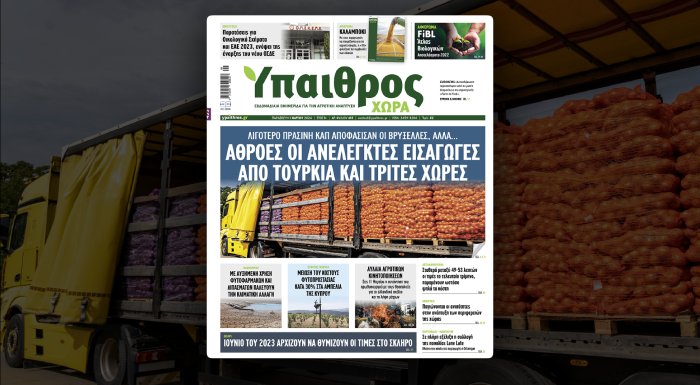 diavaste-stin-ych-ligotero-prasini-kap-apofasisan-oi-vryxelles-alla-athroes-oi-anelegktes-eisagoges-apo-tourkia-kai-trites-chores-315503
