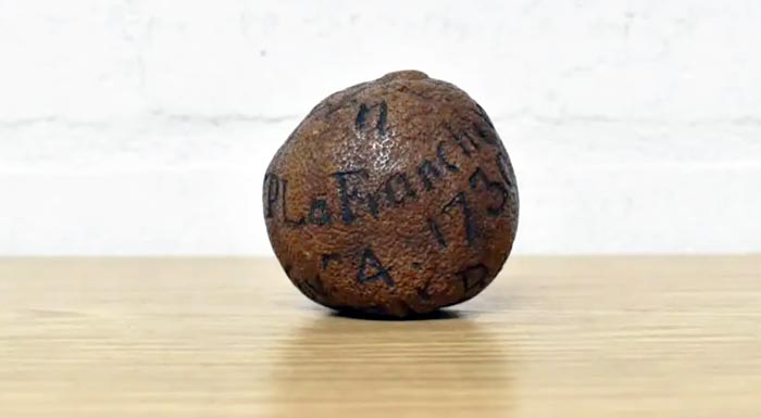lemoni-apo-tin-india-tou-1739-poulithike-1-800-dolaria-se-dimoprasia-313612