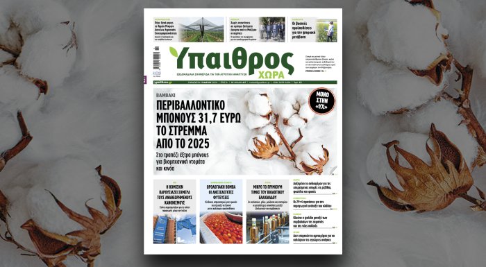 diavaste-apokleistika-stin-ych-perivallontiko-bonous-317-evro-to-stremma-vamvakiou-apo-to-2025-316495