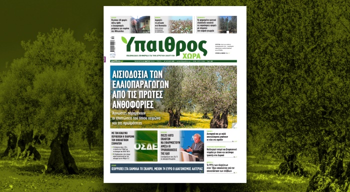 diavaste-stin-ych-aisiodoxia-ton-elaioparagogon-apo-tis-protes-anthofories-316956