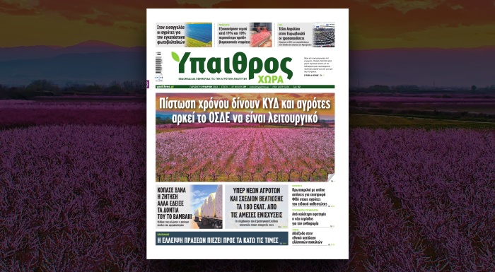 diavaste-stin-ych-pistosi-chronou-dinoun-kyd-kai-agrotes-arkei-to-osde-na-einai-leitourgiko-317490