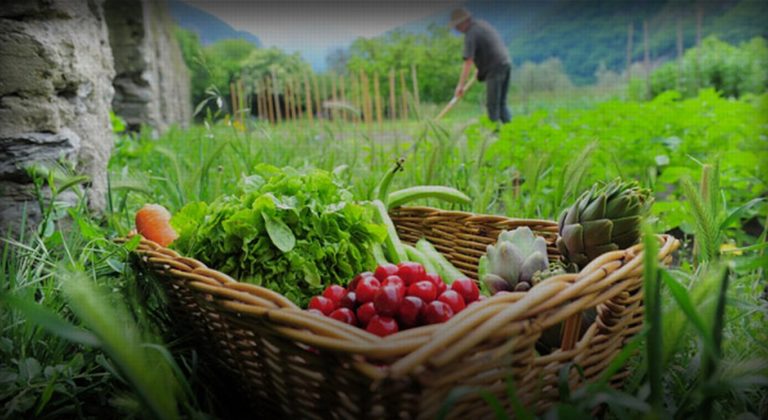 ekdilosi-me-thema-psifiakos-metaschimatismos-sti-georgia-tin-pebti-21-3-stin-komotini-316816