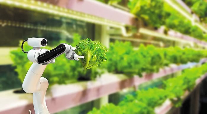 agrotechnologia-sto-chamilotero-simeio-ton-teleftaion-exi-eton-oi-ependyseis-se-neofyeis-epicheiriseis-317079