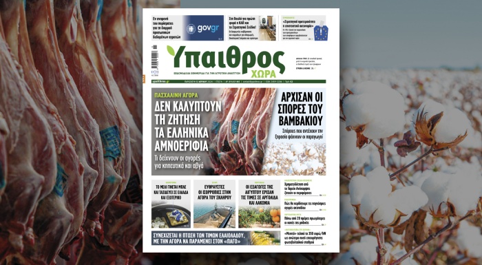 diavaste-stin-ych-paschalini-agora-den-kalyptoun-ti-zitisi-ta-ellinika-amnoerifia-318479