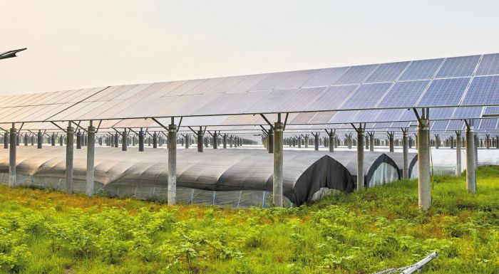 ston-eisangelea-oi-agrotes-gia-tin-egkatastasi-fotovoltaikon-317809