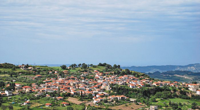 choris-paroches-ygeias-sto-goumero-ileias-319031
