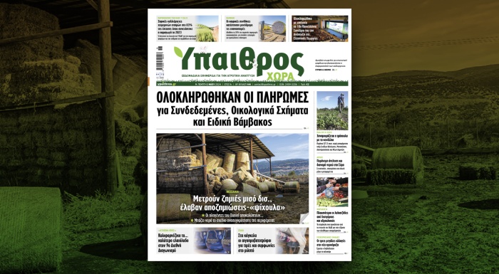 diavaste-stin-ych-oloklirothikan-oi-pliromes-gia-syndedeµenes-oikologika-schiµata-kai-eidiki-vaµvakos-320291