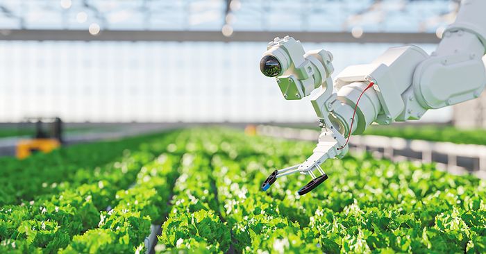i-agrotiki-technologia-diadramatizei-simantiko-rolo-stin-anaptyxi-tis-afstralias-320751