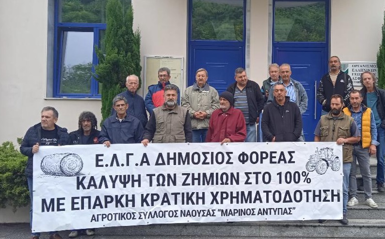 diamartyria-agroton-ston-elga-veroias-gia-akarpia-kai-zimies-sta-kerasia-321161