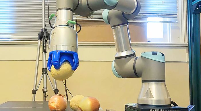 ipa-chrisi-robot-gia-ti-dialogi-kremmydion-se-agrotikes-ekmetallefseis-321477