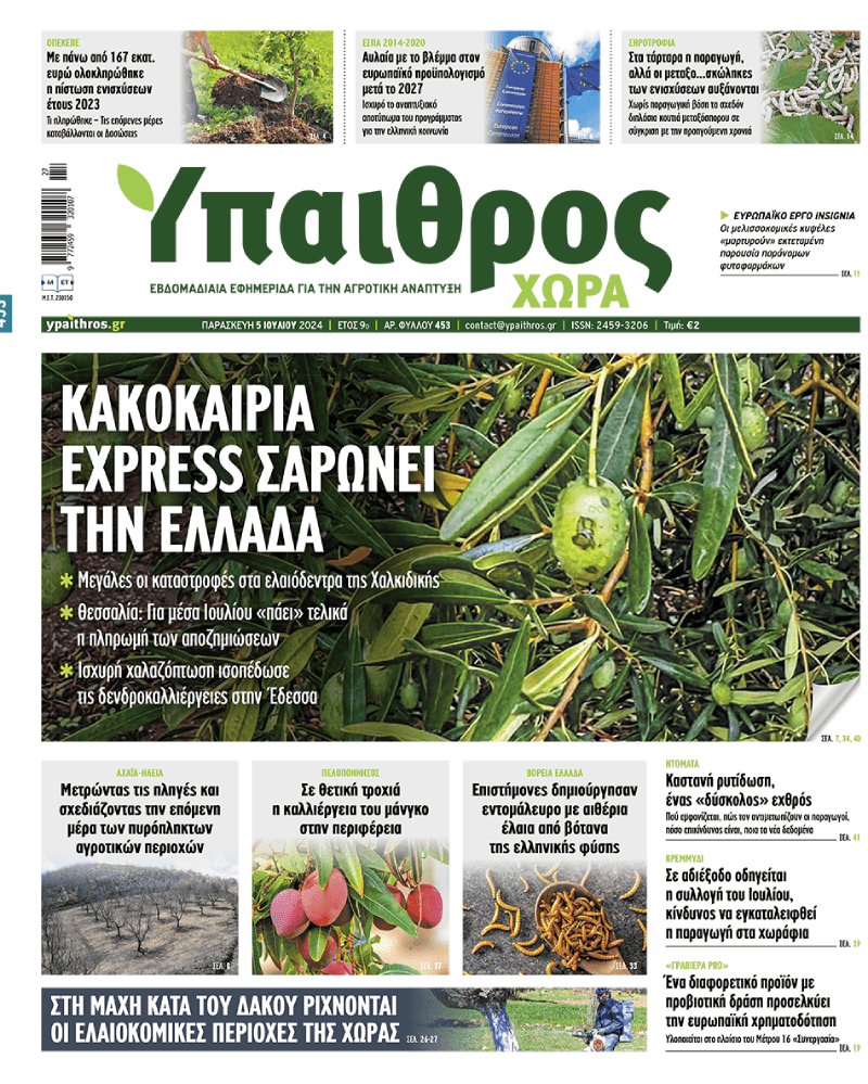 fyllo-453-paraskevi-5-iouliou-2024-325377