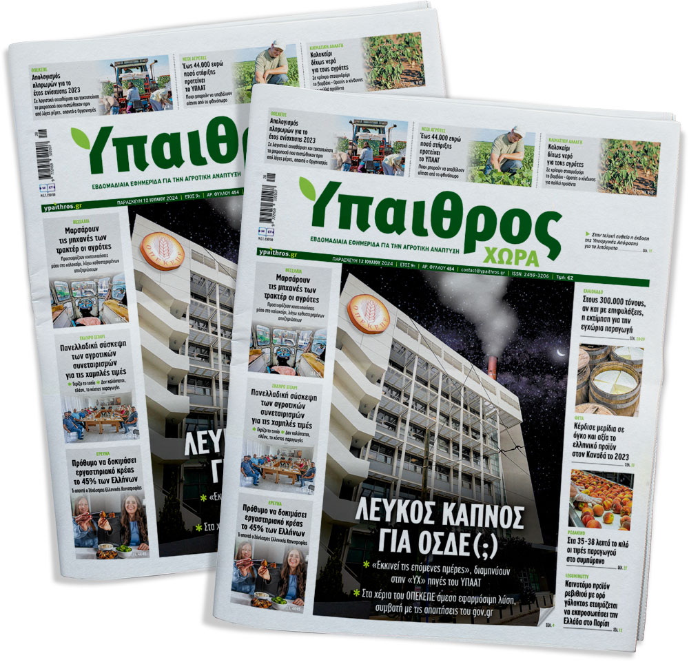 fyllo-454-paraskevi-12-iouliou-2024-326291