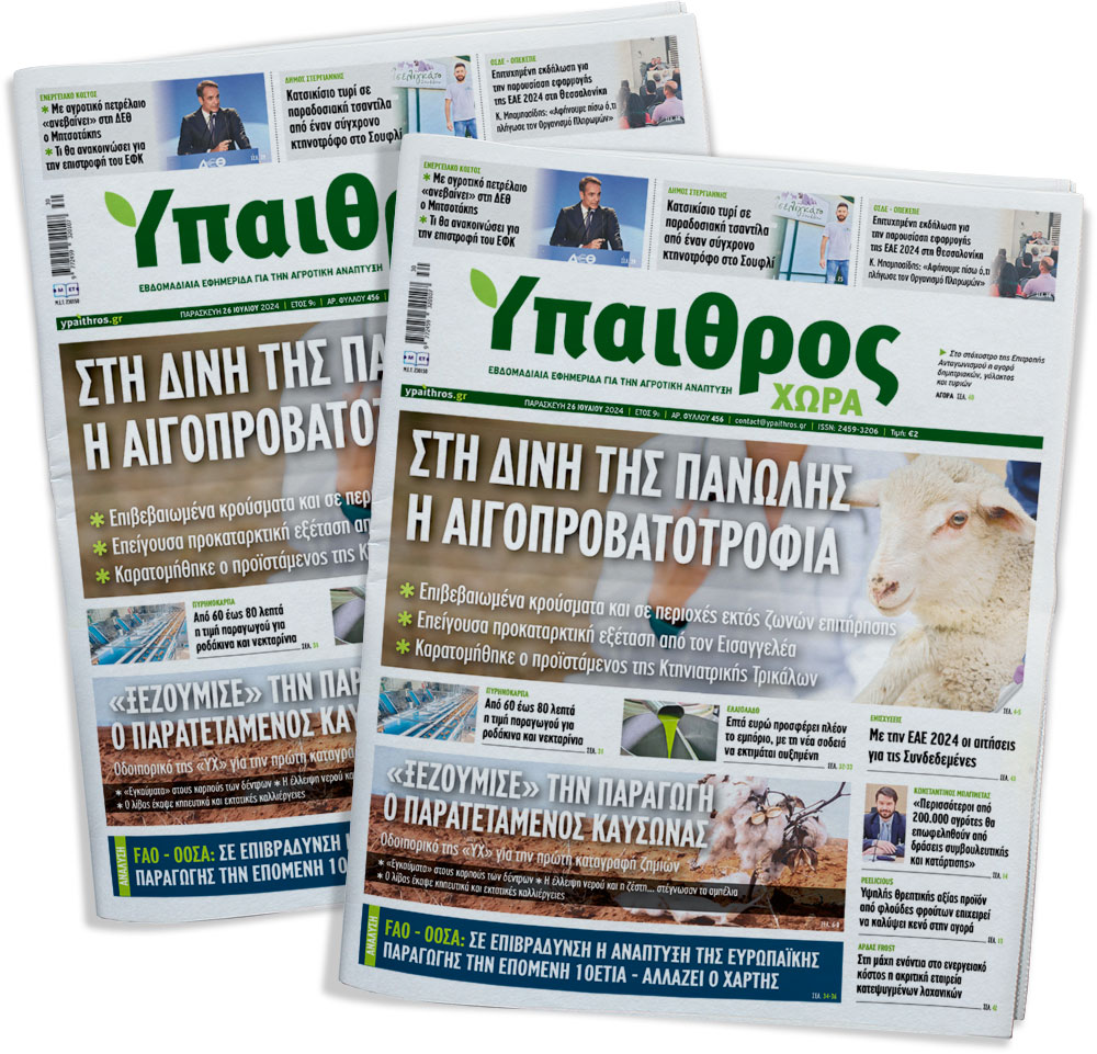 fyllo-456-paraskevi-26-iouliou-2024-327891