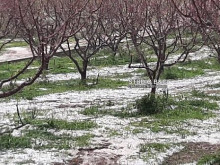 xalazoptosi-ston-dimo-iasmou-prokalese-zimies-se-kalliergeies-327589