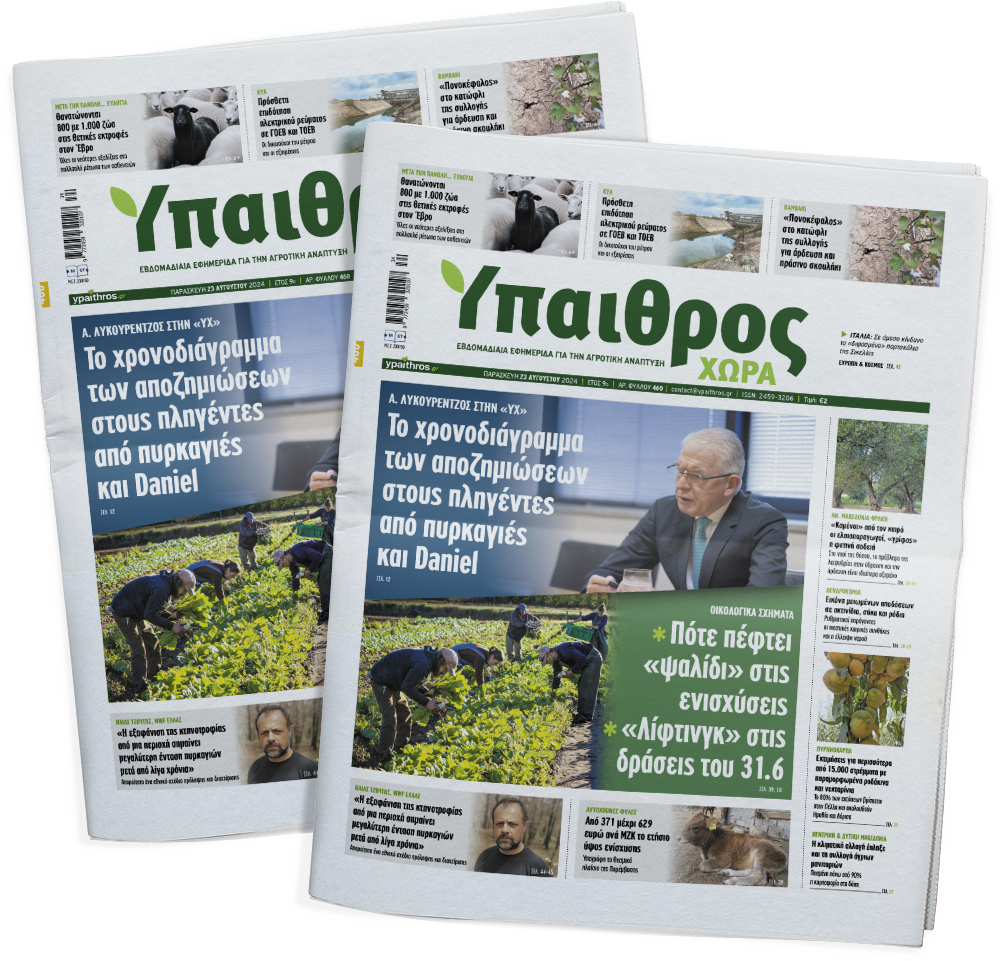 fyllo-460-paraskevi-23-avgoustou-2024-329995