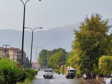 ioannina-eisangeliki-erevna-gia-tis-plimmyres-330122