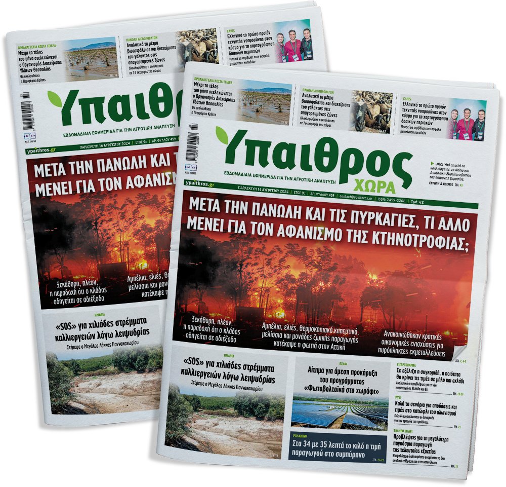 fyllo-459-paraskevi-16-avgoustou-2024-329498