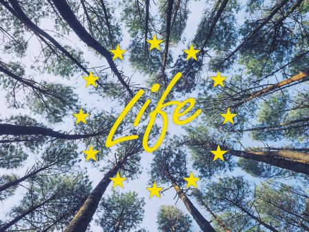 life-2014-2020-axiologisi-tou-programmatos-gia-to-perivallon-kai-to-klima-330032