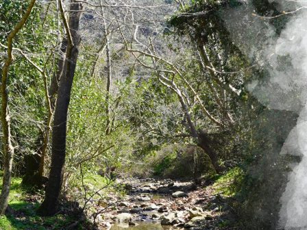 4i-giorti-geoparkou-psiloreiti-330300