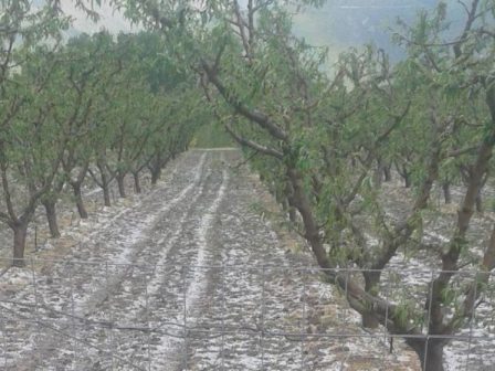 chalazi-eplixe-kalliergeies-sto-velvento-anemostrovilos-katestrepse-ktinotrofiki-monada-sti-larisa-329797