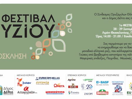 1o-festival-ryziou-331529